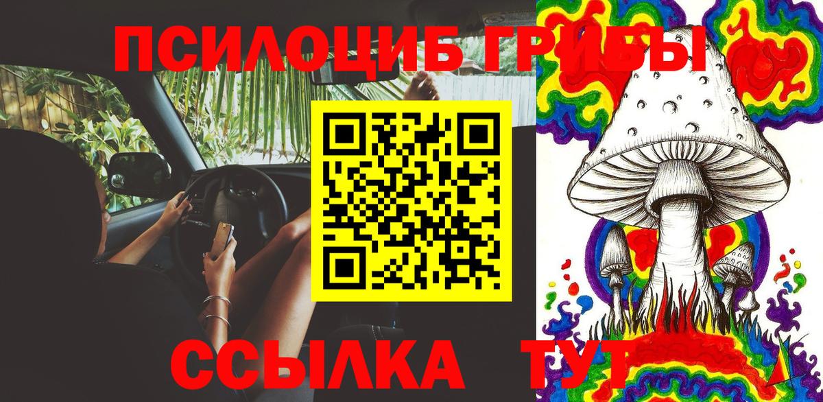 Галлюциногенные грибы Psilocybine cubensis Кубинка
